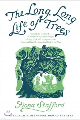The Long, Long Life of Trees