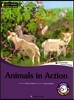 Animals in Action 6-7