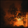 Mandolin Orange - Blindfaller (MP3 Download)(LP)