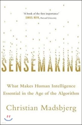 Sensemaking