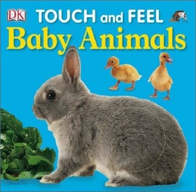 Baby Animals