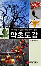 약초도감