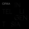 씨피카 (Cifika) - Intelligentsia