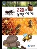 곤충들의 놀라운 세계