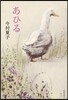 あひる