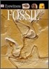 DK Eyewitness : Fossil