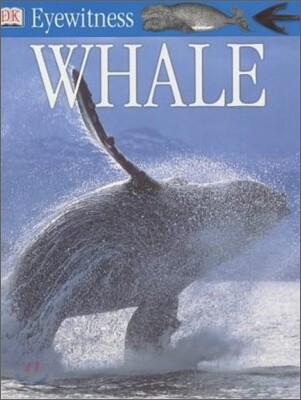 DK Eyewitness : Whale