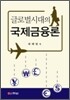 글로벌시대의 국제금융론