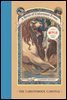 A Series of Unfortunate Events #9