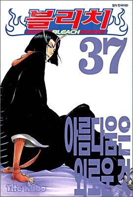 블리치 BLEACH 37