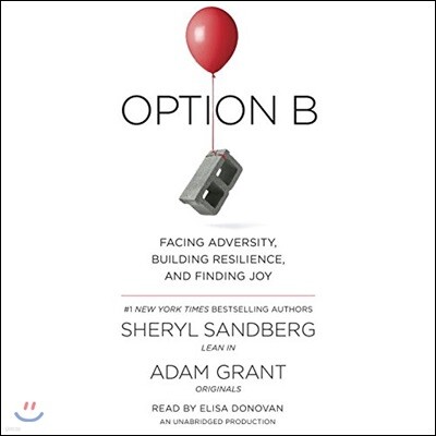 Option B