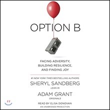 Option B