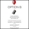 Option B