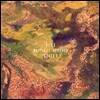 Blue States (블루 스테이츠) - Restless Spheres [LP]