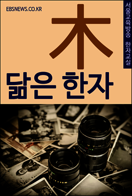 통째로 갈아먹는 닮은 한자
