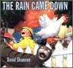 The Rain Came Down