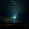Vassilis Tsabropoulos - The Promise