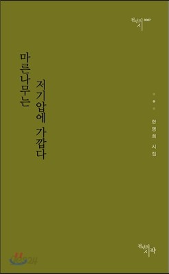 마른나무는 저기압에 가깝다