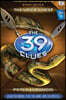 The Viper's Nest (the 39 Clues, Book 7)