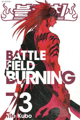 블리치 BLEACH 73