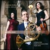 Bojidara Kouzmanova-Vladar 브람스: 바이올린 소나타 1, 3번, 호른 삼중주 (Brahms: Horn Trio Op.40, Violin Sonatas Op.78, Op.108) 볼프강 블라다, 버지다라 코즈마노바