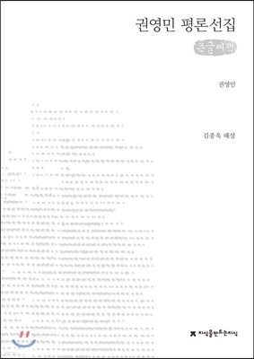 권영민 평론선집 (큰글씨책)