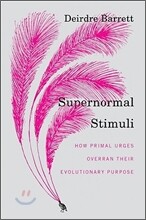 Supernormal Stimuli