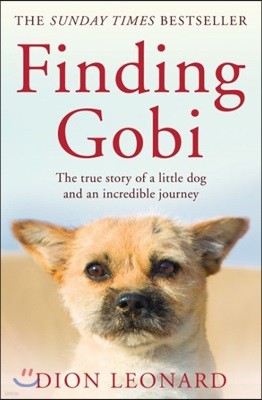 Finding Gobi (Main Edition)