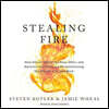 Stealing Fire: How Silicon Valley, the Navy SEALs, and Maverick Scientists Are Revolutionizing the Way We Live and Work