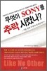 무엇이 SONY 소니를 추락시켰나?