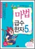 마법천자문 마법급수한자 5급 2