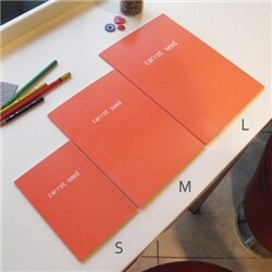 [minibus] Carrot seed note -L -inf- 유선 노트