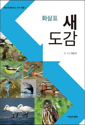 화살표 새 도감