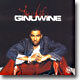 Ginuwine - The Life