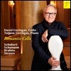 David Geringas 로맨틱 첼로 - 슈베르트 / 슈만 / 브람스 / 슈트라우스 (Romantic Cello - Schubert / Schumann / Brahms / R. Strauss) 다비트 & 타티아나 게링가스