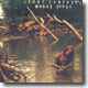 Jerry Cantrell - Boggy Depot