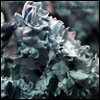 Various Artists - Pop Ambient 2017 (180G)(LP)