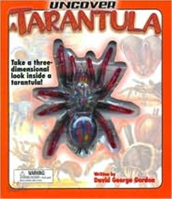 Uncover a Tarantula