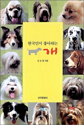 한국인이 좋아하는 개