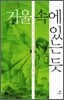 거울 속에 있는 듯