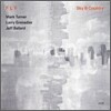Fly Trio (Mark Turner, Larry Granadier, Jeff Ballard) - Sky & Country