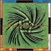 Dave Weckl Band - Synergy