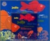 Pictory Set Pre-Step 19 : Blue Sea (Paperback Set)
