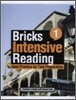 Bricks Intensive Reading 1