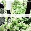 노리플라이 (No Reply) 1집 - Road