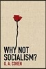 Why Not Socialism?
