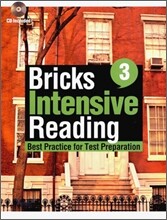 Bricks Intensive Reading 3