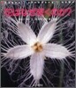 花はなぜさくのか?