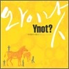 와이낫 (Ynot) - 아지랑이 리듬