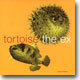 Tortoise + The Ex - In The Fishtank